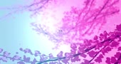 1280x680