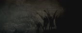 1280x534