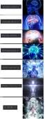 786x2046