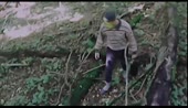 430x250