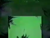 320x240