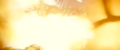 720x304