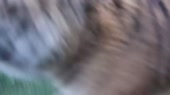 640x360