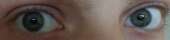 853x204