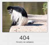 545x495