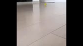 460x258