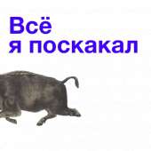 512x512