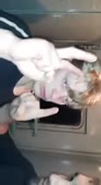 198x360