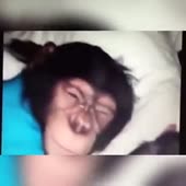 360x360
