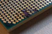 450x293