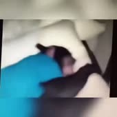 360x360