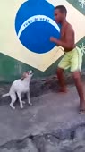 406x720