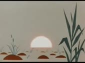 320x240