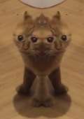 426x602