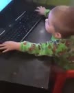 288x360