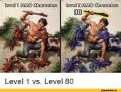 500x381