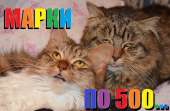 582x382