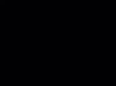 408x304