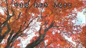 854x480