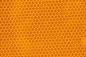 3040x2021