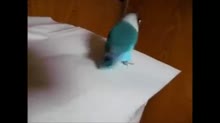 400x224