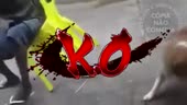400x226