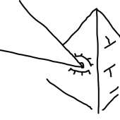 434x434