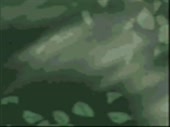 480x360