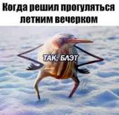 228x221