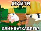 577x432