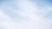 640x360