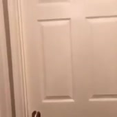 360x360