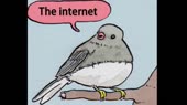 460x258