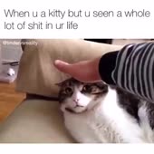 360x360