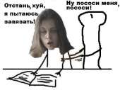 567x424