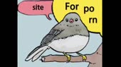 460x258