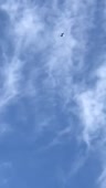 408x720