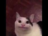 480x360