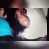 360x360