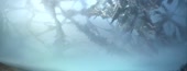 1280x494
