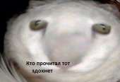 582x399