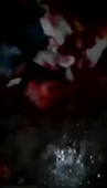230x400