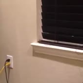 360x360