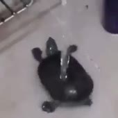 360x360
