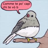 358x360