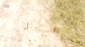 1280x720