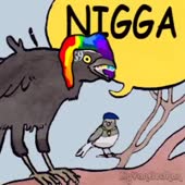 360x360