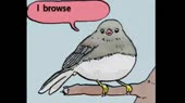 460x258