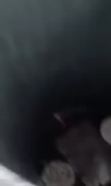 360x600