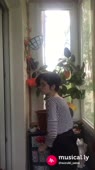 540x960